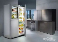 释放更多空间“薄”纳百鲜 对开门嵌入式冰箱简约登场