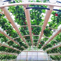 联塑PVC-U圆形栽培管：推动现代农业革新，打造高效环保水培种植