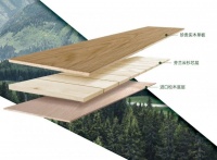 安信白蠟?zāi)镜匕?，以自然之美重?gòu)現(xiàn)代家居的詩(shī)意棲居