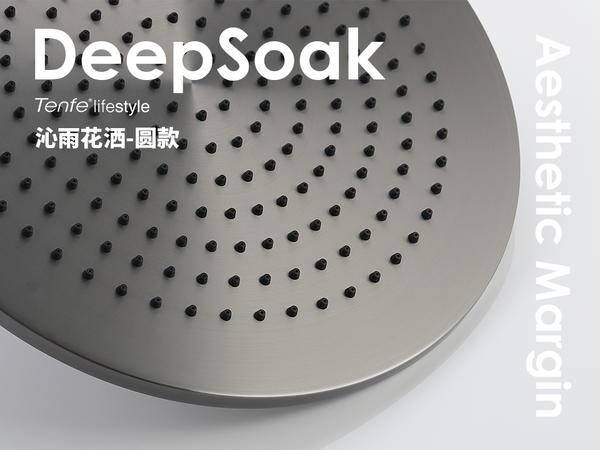 Tenfe Quin Rain Series Shower Head Functionality