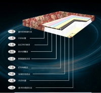 中佰康仿生地磁床墊 優(yōu)質(zhì)好睡眠的捍衛(wèi)者