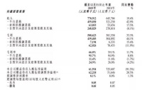 齐屹科技2019：自营业务营收利润双降