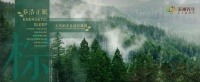 美神養(yǎng)生床墊：溯源天然好品質(zhì)！天然棕材守護(hù)健康睡眠！