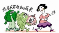 深層殺菌去農(nóng)殘 普樂美果蔬凈化機(jī)護(hù)航飲食健康