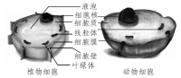 奥克斯破壁机这么火，它究竟好在哪里