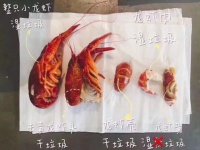 小龍蝦價格暴跌！敞開肚皮的吃貨們別忘了還有垃圾分類等