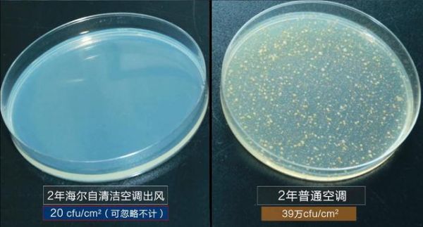 中科院細(xì)菌實(shí)驗(yàn)揭秘：夏天不敢亂開空調(diào)，原因都在這了