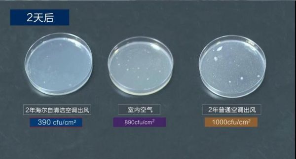 中科院細(xì)菌實(shí)驗(yàn)揭秘：夏天不敢亂開空調(diào)，原因都在這了