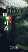 【YASLAN】梅雨季节,让雅诗澜墙布来拯救你的墙面!