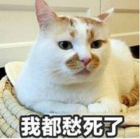 日立中央空調(diào)x天貓精靈，居家生活更easy!