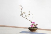 一場關(guān)乎美好的生活方式，應(yīng)該與優(yōu)雅花香為伍