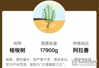 森歌將在阿拉善特地開(kāi)啟一場(chǎng) 全國(guó)核心經(jīng)銷(xiāo)商沙漠旅的峰會(huì)