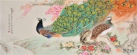 家中挂孔雀图好吗？国画孔雀图有什么好寓意？