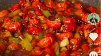 跨平臺(tái)視頻創(chuàng)作者,能否復(fù)制“成功”?