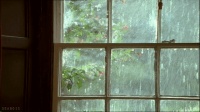 梅雨季，来了，您家的地板准备好了吗？