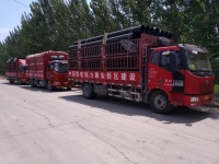 “新基建”風(fēng)口下,聯(lián)塑再一舉中標(biāo)雄安容東片區(qū)管廊建設(shè)項(xiàng)目