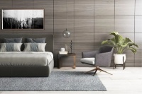 千年舟木塑饰面板时尚环保，品质硬核，年轻人的品味之选！