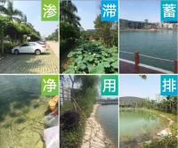 暴雨“大考” 看海綿城市如何交出漂亮答卷