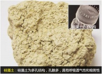 泥博士將硅藻技術(shù)延伸至化妝品、肥料、凈水機(jī)、家具、醫(yī)療等行業(yè)