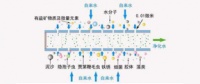 專業(yè)揭秘凈水器哪個(gè)好？品牌＆濾芯才是關(guān)鍵