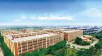 行业观察|新特丽照明2020年成功破圈背后的秘密