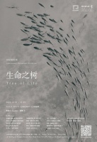 展訊 | 10月31日 “生命之樹”國際攝影展即將登陸上海