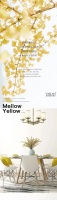 【YASLAN】Mellow Yellow 古金黄 静赏秋日的赞歌