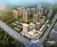 德立联袂国企集团，精筑倾城之作