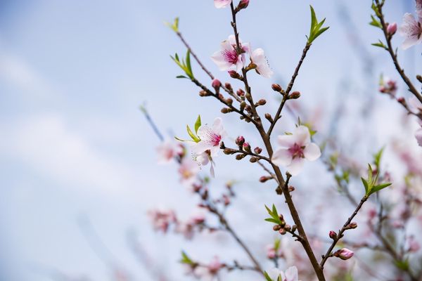 “春捂”正當(dāng)時(shí)丨警惕倒春寒來(lái)襲，你的家里需要天氟地水