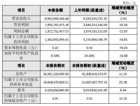 居然之家2020年凈利潤13.63 億元 家居連鎖未完成業(yè)績承諾