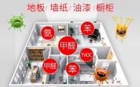 新房如何除甲醛最快?4个&ldquo;小秘诀&rdquo;,至少提前半年入住