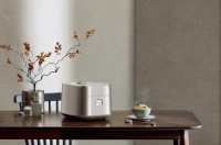 電飯煲哪個品牌好？蘇泊爾內(nèi)外兼修，定義好米味