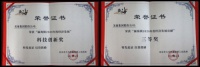 美巢代表出席瀛海镇经济发展奖励表彰大会并领奖