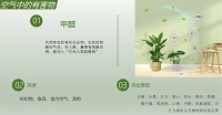 别让家人再受毒气伤害了！