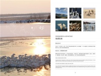 白翎羽绒家纺,第一手中国优质羽绒原料打造居家新体验
