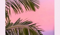 TONA国际卫浴：快看！高颜值在夏日之境