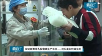 乳膠枕哪個品牌好？撒貝寧親自揭秘，帶你探訪斯柔菲“超級工廠”