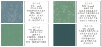 汇明A+墙布2021《雅·江南》重装推出，梦回烟雨水乡