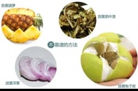 三大“甲醛克星” 你都知道吗，学会新房急住全搞定