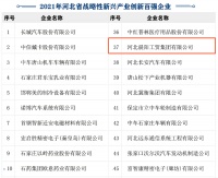 晨陽水漆榮膺“2021年河北省戰(zhàn)略性新興產(chǎn)業(yè)創(chuàng)新企業(yè)百強(qiáng)”