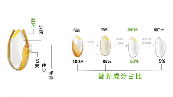 小區(qū)里竟然可以在智能碾米機(jī)買到新鮮大米？