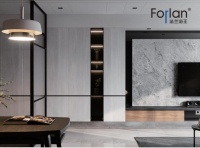 Forlan法兰浴王不锈钢定制柜——收纳界的“王炸”