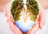 双十一实力宠粉！合生雅居携手万华禾香板业免费升级无醛家！