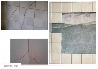 墙面瓷砖开裂 | 真苦脑怎么办？