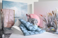 错过了冬日“四件套”，可千万别再错过水星家纺羽绒被