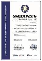 圣象获“2021中国品牌年度大奖木地板行业No.1”