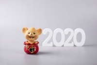 來了！2022年生肖鼠的運勢解析大全