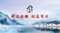 品牌建設(shè)推動制造業(yè)“能級之變”，助力企業(yè)創(chuàng)建“專精特新”