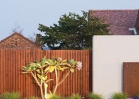 书檀，承启当代精致美学生活