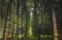 大自然木门·全屋定制，把自然带回家